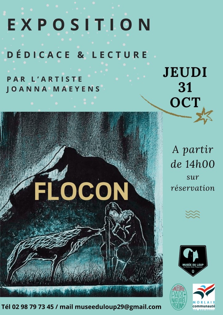 Affiche flocon