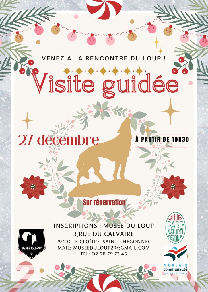 affiche - visite guidée 27-12-24